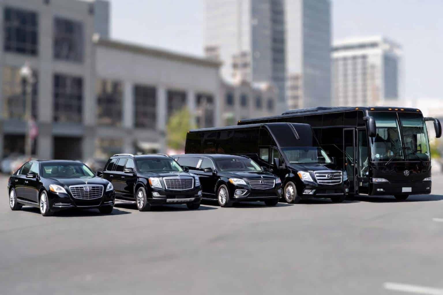 What vehicle sizes do you offer in Birmingham Alabama (sedans SUVs Sprinters party buses charter coaches)?
